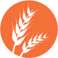 Gluten