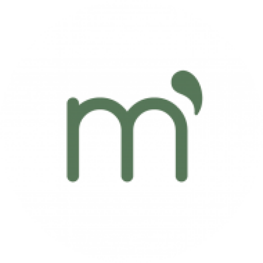 logo mentta