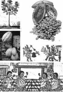ᐅ ¿Sabías que antes se usaba el cacao como moneda en Mesoamérica?