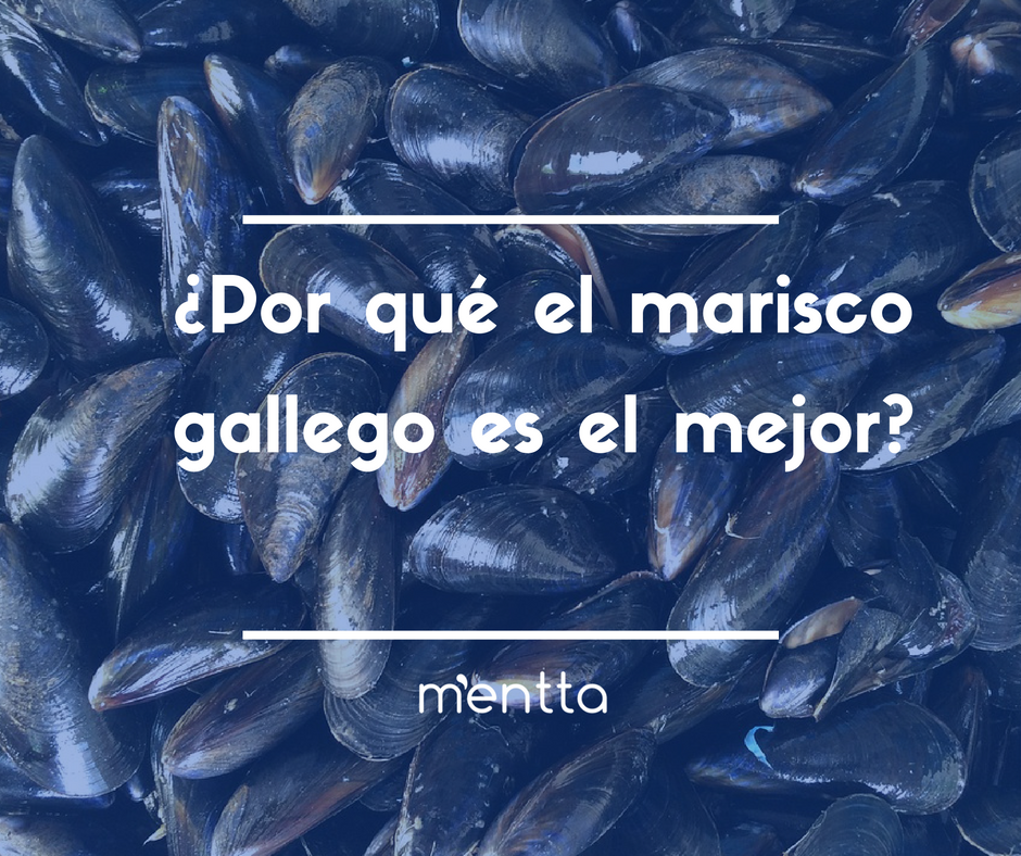 por qué el marisco gallego es el mejor