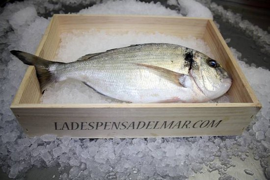 La Despensa del Mar: el paraíso donde descansa la mejor gamba blanca de Huelva