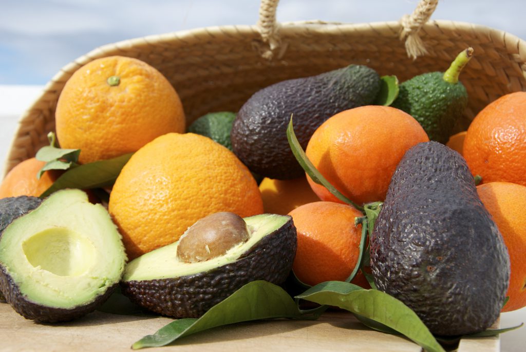 Aguacates de Málaga Aguacates de Naranja Costa del Sol