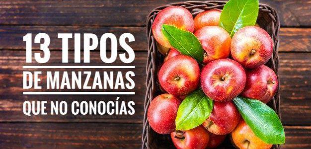 tipos de manzanas