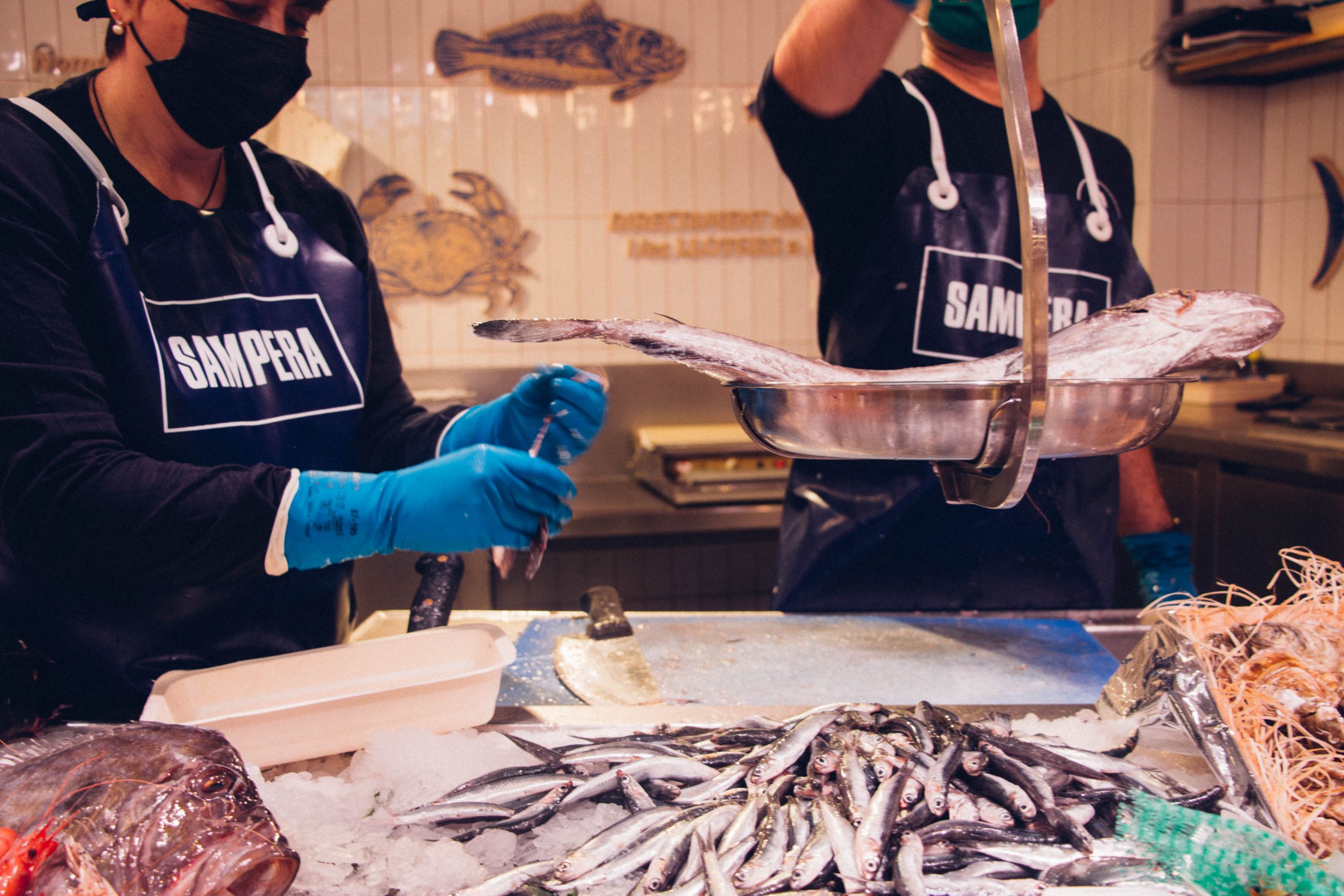 Deliberadamente Seguir Drama Sampera, tu sitio para comprar pescado fresco online - Blog mentta 