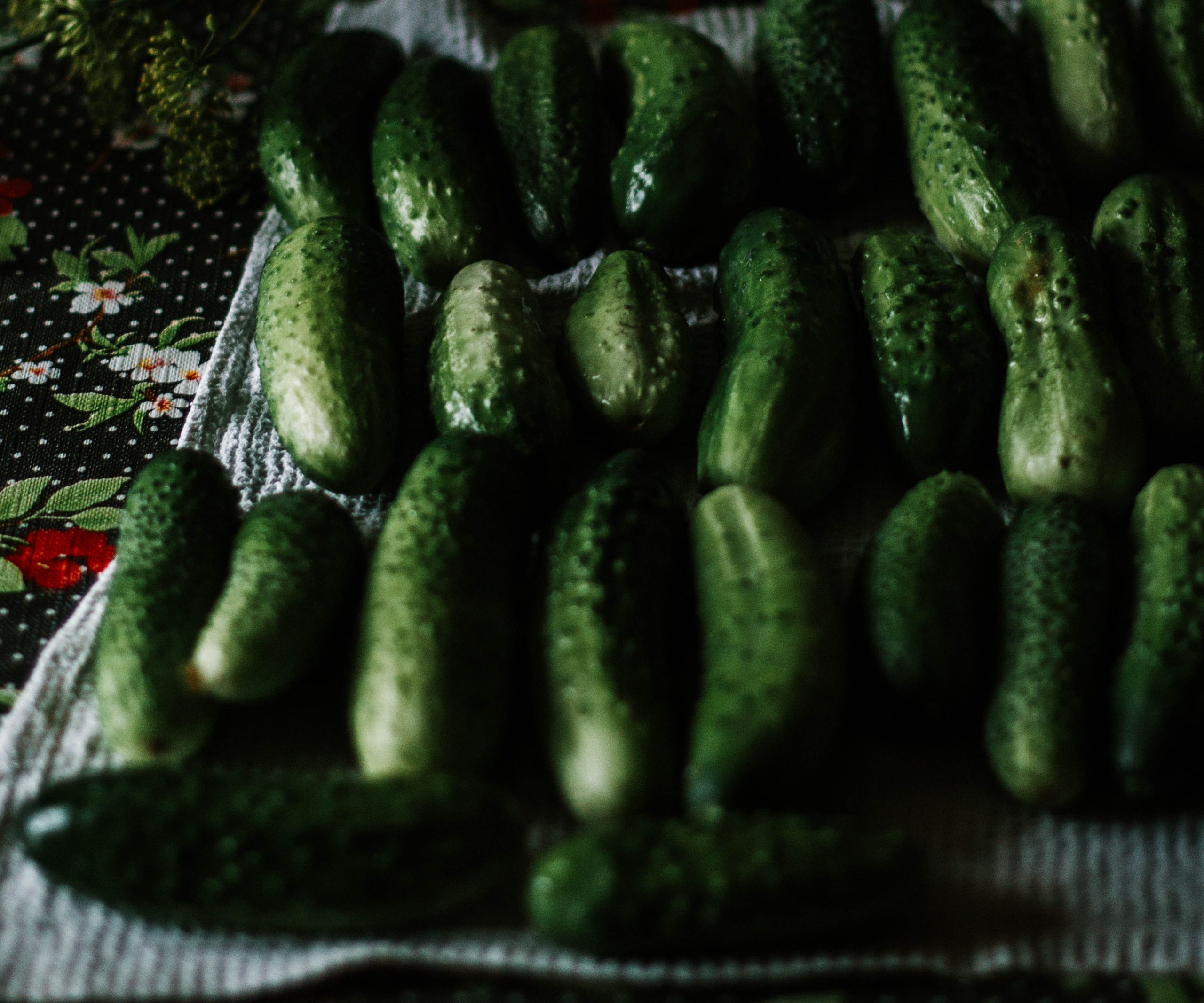 Propriétés du concombre: comment l’incorporer dans votre régime?