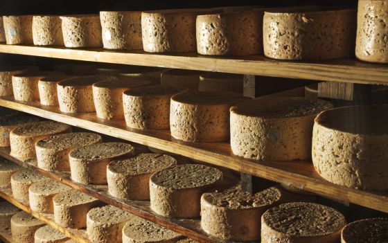 El maravilloso mundo de los quesos franceses