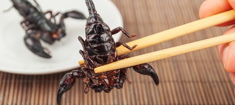 ¿Comer insectos? La práctica que está de moda