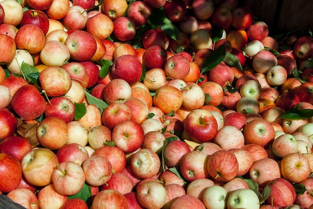 13 variétés de pommes que vous ne connaissiez pas