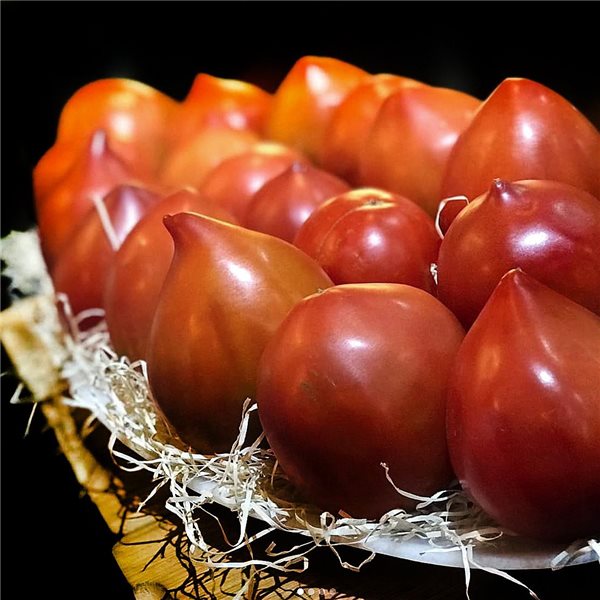 Ochsenherz-Tomate: der Schatz der Vega und des Gärtners
