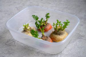 Food sharing qué es