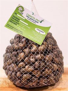 Caracol de cadalso entrevista