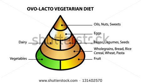 Imagen de la empresa Ovo Foods a la que se le ofrecen los descuentos